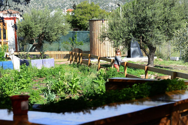 child in 'The Orchard in Vari' vegetables garden and watching to the camera