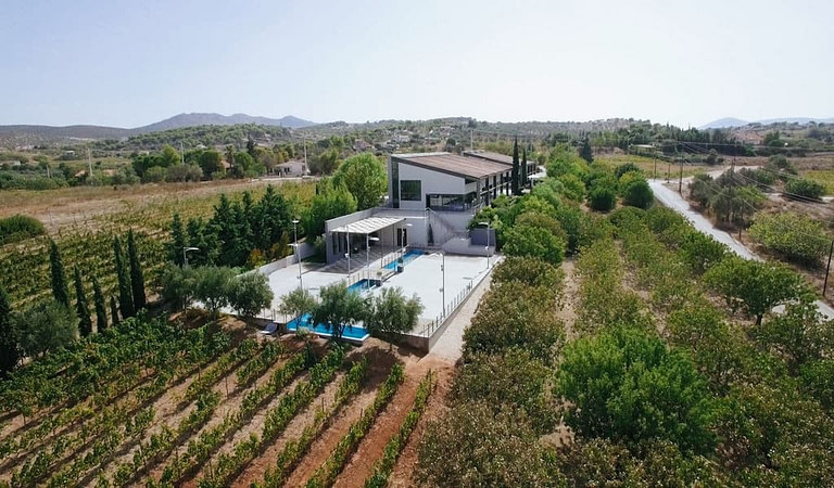 'Domaine Papagiannakos' from above surrounded by a piscine, vineyards and trees