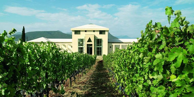 rows of vines in front of 'Nemeion Estate' building