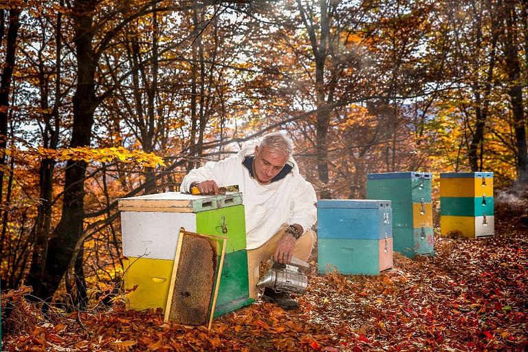 man beekeeper working on the hive in the forest at 'The Bear's Honey' area surrounded by trees
