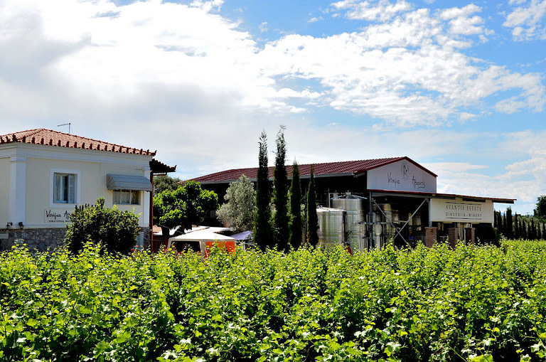 buildings and vineyard at Avantis Estate premises