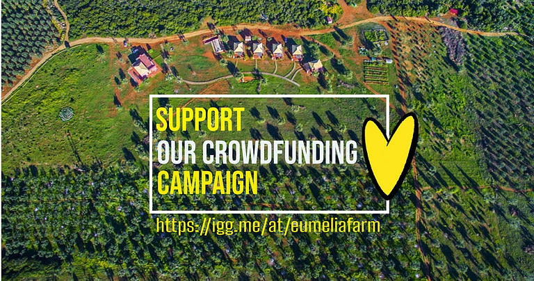 poster that says 'Eumelia community, support our effort to go off-grid'