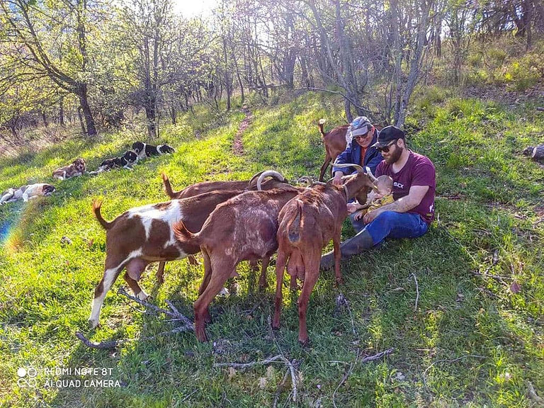a couple with a baby sitting on the grass and caressing brown goats at 'Gralista Farm' surrounded by trees