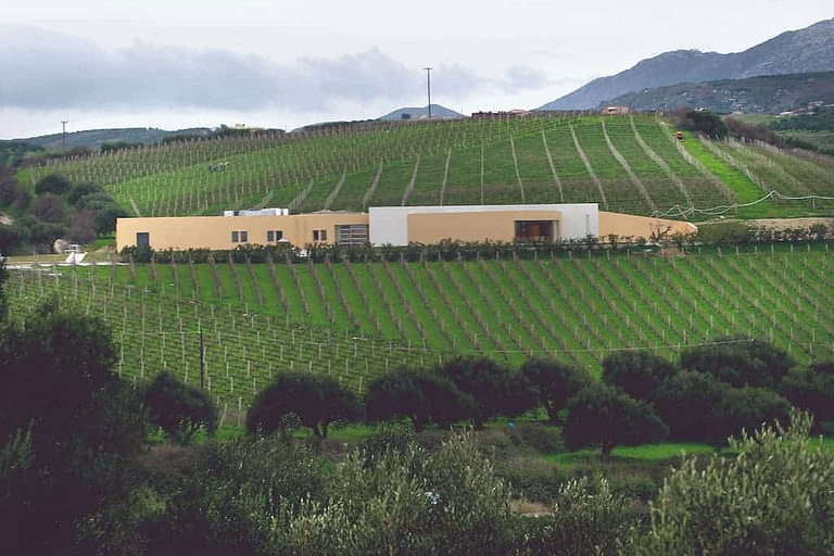 far view of Boutari Crete Winery building surrounded by vineyards