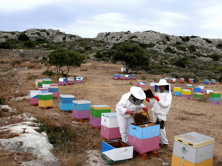 tourists dressed with protection equipment, holds hive with bees, in nature, at Beekeeping Athamari
