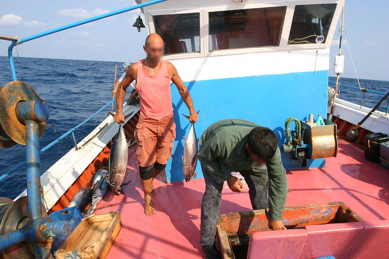 two men from 'Alelma' on a fishing boat on the sea, one of them holding fresh tuna