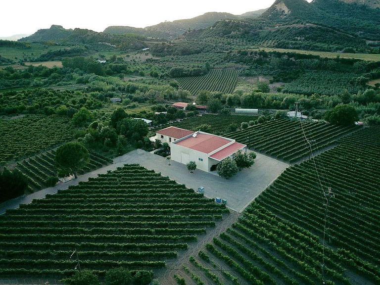Olympia Land Estate winery from above, surrounded by trees and vines