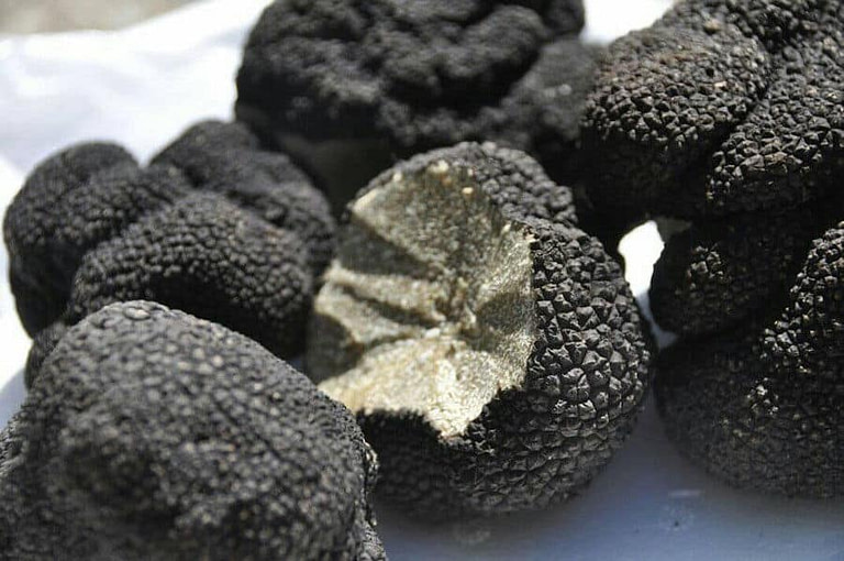 fresh black truffles from 'Syllogi'