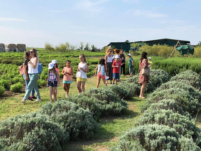 a group of pupils visiting green crops at Efkarpia Farm