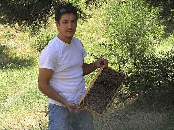 Antonis Dimakopoulos beekeeper holding honeycomb panel with bees at AXION ESTI