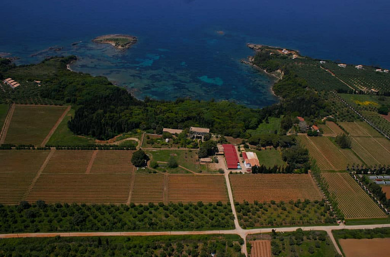 'Mercouri Estate' from above, surrounded by trees, vines and the sea