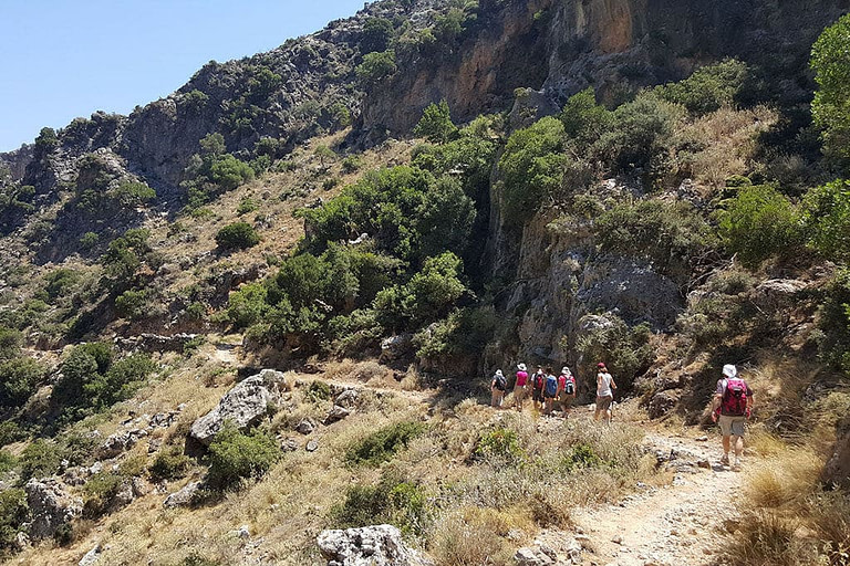 a group of tourists walking on the mountain's path surrounded by bushes of green plants at 'Milia Mountain Retreat' area