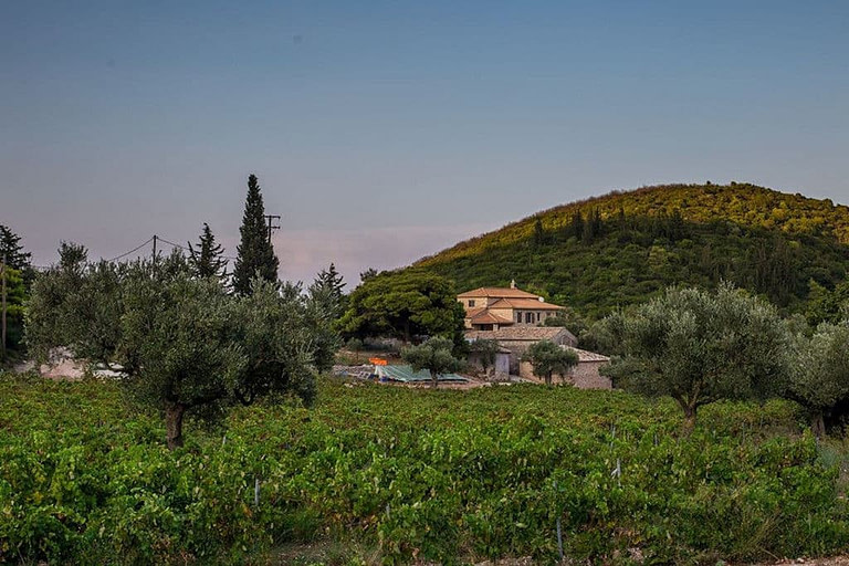 far view of 'Goumas Estate' building surrounded by vineyards, trees and a mountain