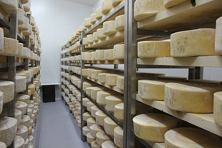 corridor and on the both sides lying 'graviera' cheeses balls on shelves at 'Zozefinos Creamery' plant