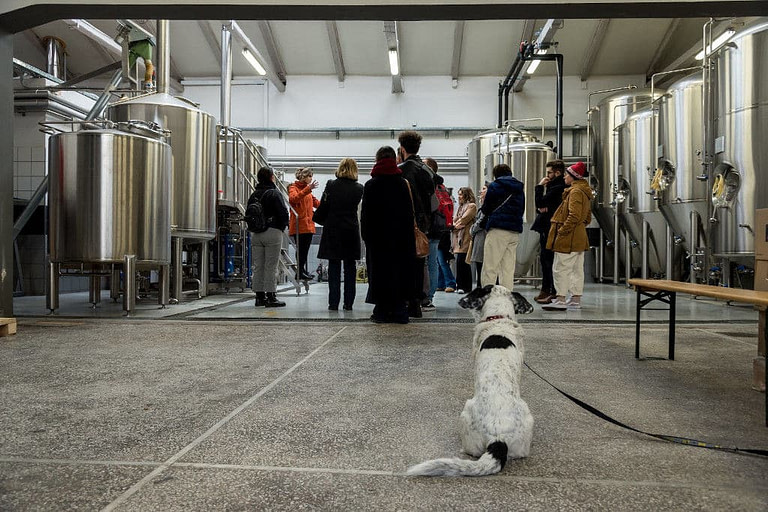 tourists and a dog listening to a man giving a tour at 'Noctua Brewery Athens' plant