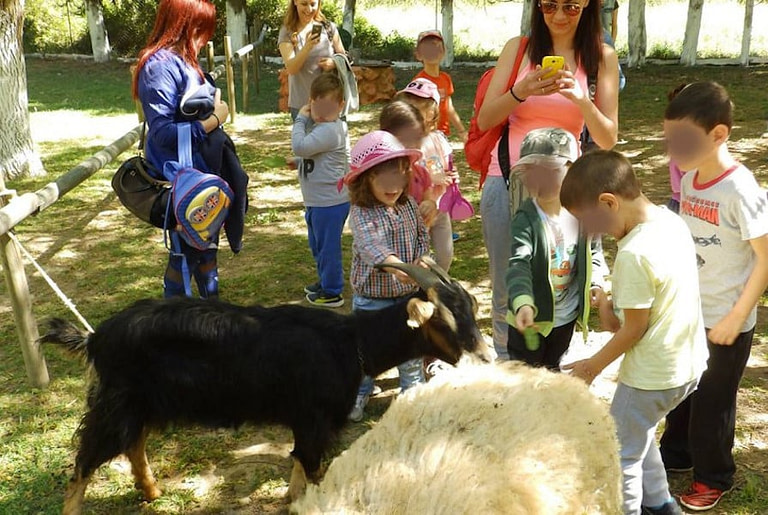 woman takes a photo with children and goats using the mobile phone