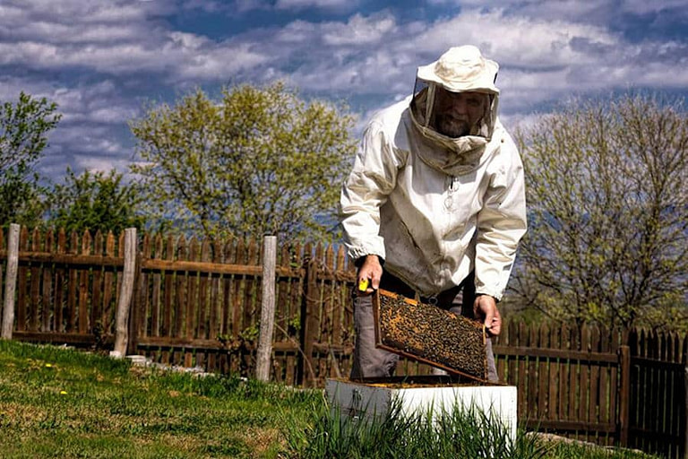 beekeeper holding honeycomb panel and watching the camera in nature at 'Ktima Chronis'