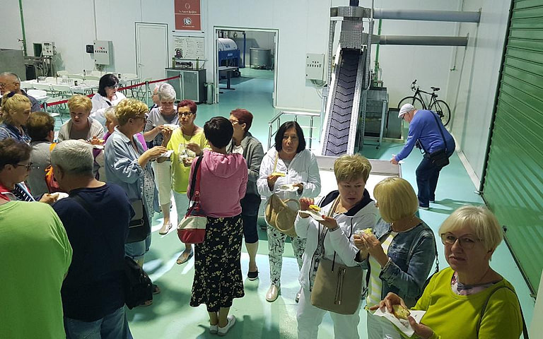 a group of tourists visiting the Melas Epidauros olive oil plant and eating