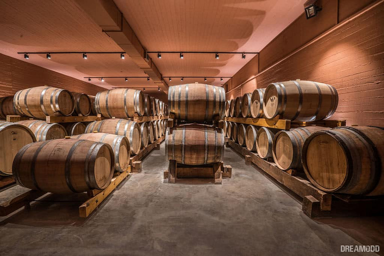 wood barrels on top of each other at illuminated 'Lykos Winery' cellar